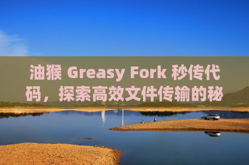 油猴 Greasy Fork 秒传代码，探索高效文件传输的秘密